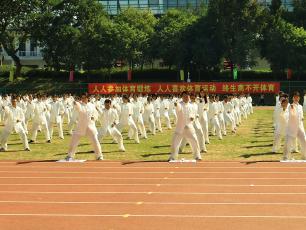 bevictor伟德官网