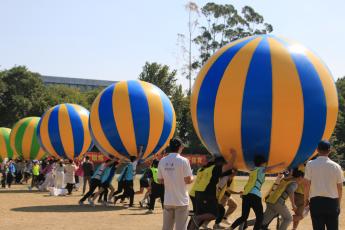 bevictor伟德官网